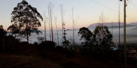 IMG-20230912-WA0028