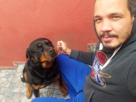 Pai PET Rodiner