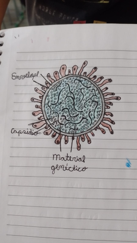 virus4