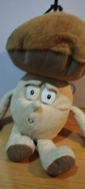 Cogumela
