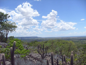 *Refúgio de Vida Silvestre da Serra Azul* (Cidade: Mateus Leme) – Protetor de áreas de cerrado e campos rupestres, o refúgio é um importante habitat para a conservação de espécies ameaçadas como o lobo-guará e o tamanduá-bandeira. A área possui trilhas para visitantes