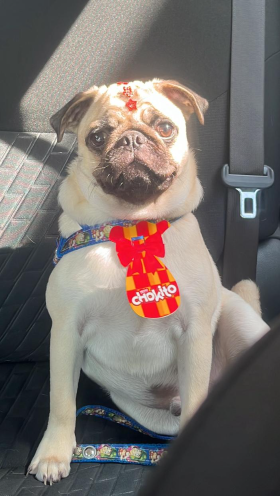 Max