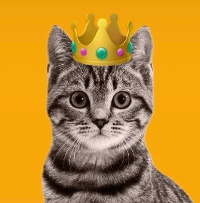 Gato