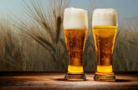 Cerveja