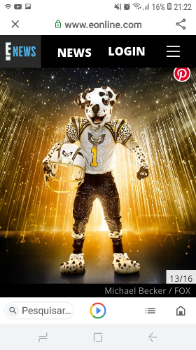 Dalmata