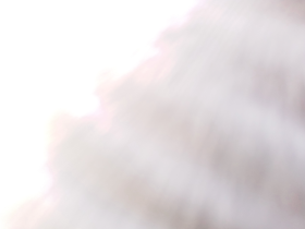0097