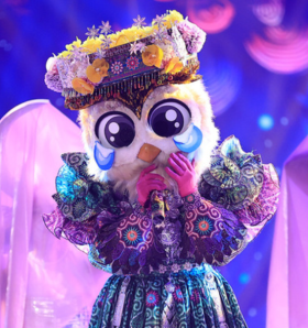 Coruja 🦉