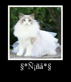 Gata