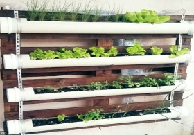 Horta em PVC