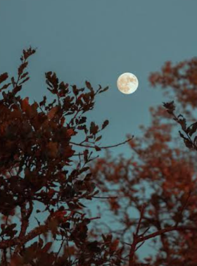 Céu da minha terra