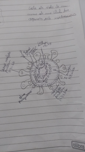 virus14