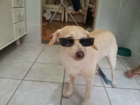 Belinha