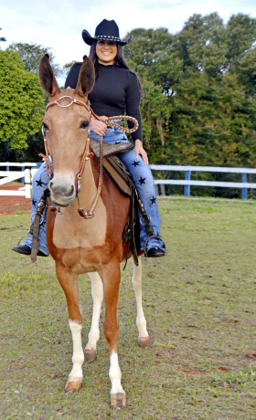 Elisa de Oliveira Ambrósio