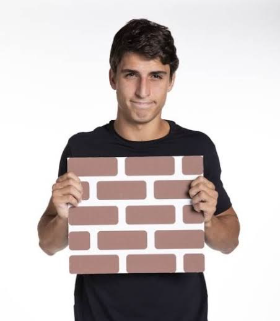 Gael