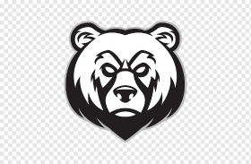 png-transparent-polar-bear-grizzly-bear-bear-mammal-cat-like-mammal-animals