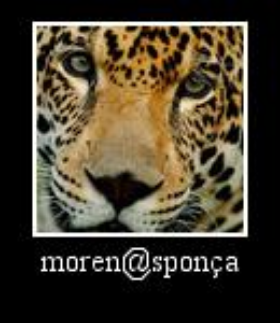 Onça