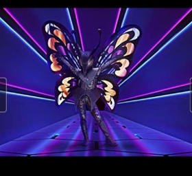 Borboleta 