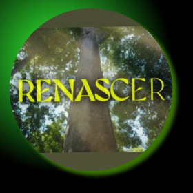 RENASCER