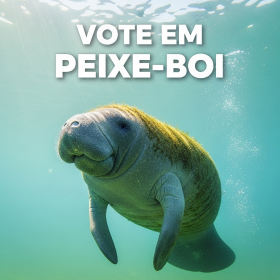 PEIXE-BOI
