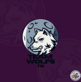 Team wolfs (7ºB)