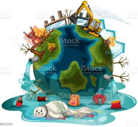 images (12)