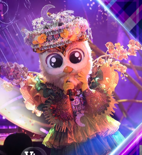 Coruja 🦉