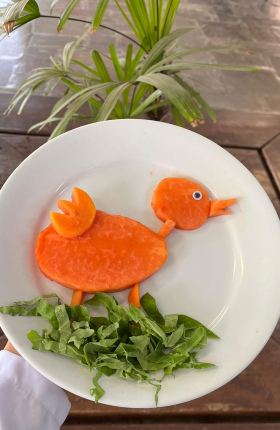 Pato