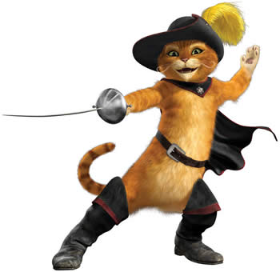 gato