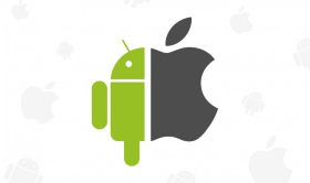 image (3)