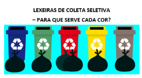 ENQUETE XOLETA SELETIVA