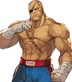 HERO - MUAYTHAI RING
