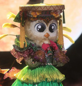 Coruja 🦉