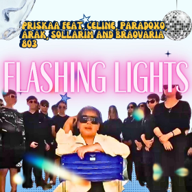 FLASHING LIGHTS - 803
