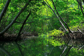 *Reserva Extrativista de São João da Barra* (Cidade: São João da Barra) – Promove o uso sustentável de recursos naturais pelas comunidades ribeirinhas, preservando manguezais e ecossistemas costeiros de grande valor ecológico