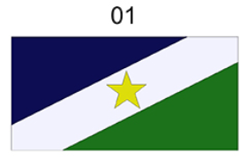 Bandeira Nº 1