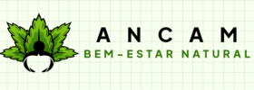 Captura de tela 2025-02-21 090856