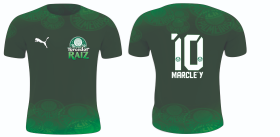camisa do verdão