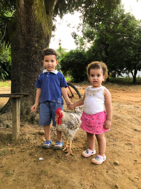 Rodrigo Ramos - Raul Soares