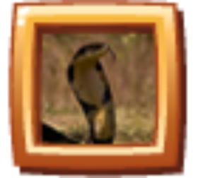 b9
