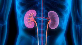 DOENÇA RENAL