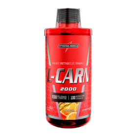 L-Carnitina Integral 480ml - Por R$55,90
