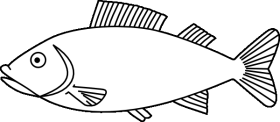 e053f65ae0b33e17188fb276050be481