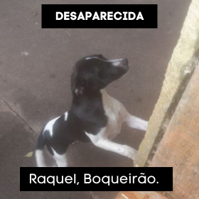 BRASIL