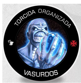 ESCUDO VASURDOS 25 (1)