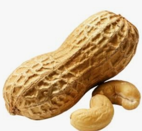 Amendoim