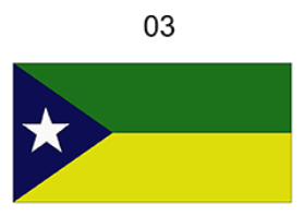 Bandeira Nº 3