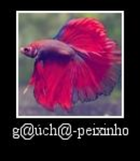 Peixe
