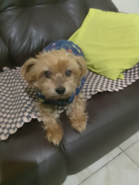 Fred