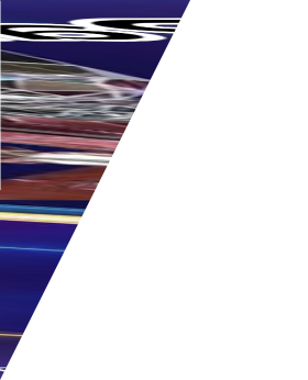 90a73a3bce53bad6d403d7913e17f32a_1