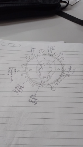 virus11